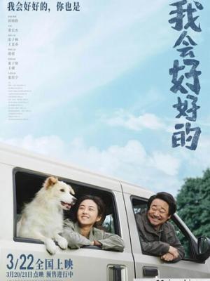 青春岁月